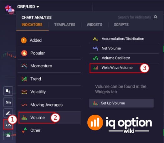 Cara memasukkan penunjuk WWV dihidupkan IQ Option platform