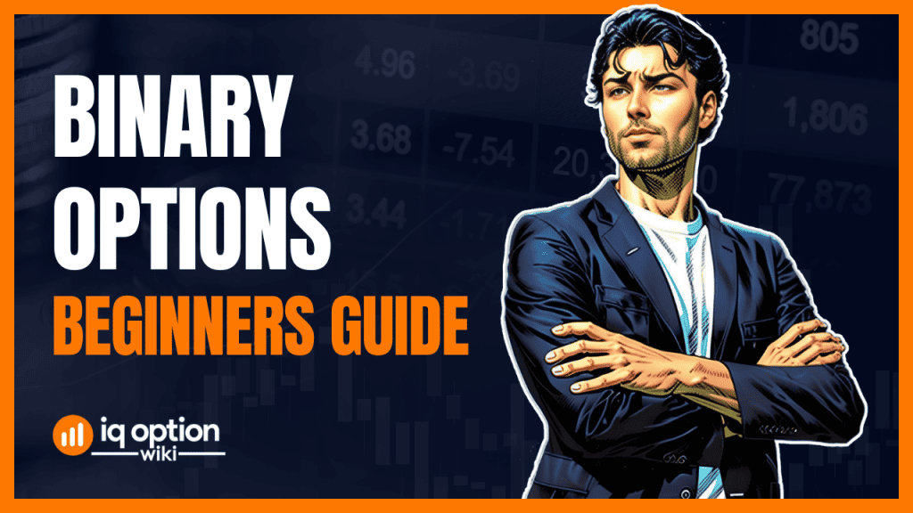 Binary Options for Beginners Guide